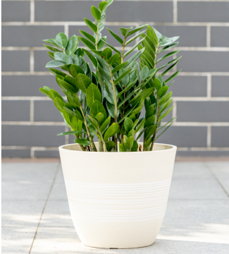 Engraved Pattern Decorative Flower Pot