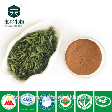 Concentrated green tea powder Natural green tea extract 98%