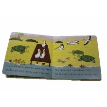 Educational chipboard children book