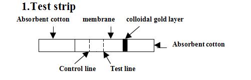 Test Strip