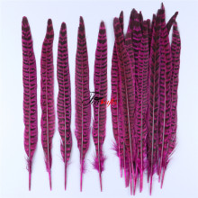 25-30cm Dream Catcher Feathers, Shako Hat Plumes, Rose Reeves Pheasant Tail Feathers: Ideal for Carnival Costumes, Decorations, and Crafting