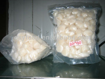 frozen bay scallops fish