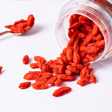 Factory Price Red Wolfberries