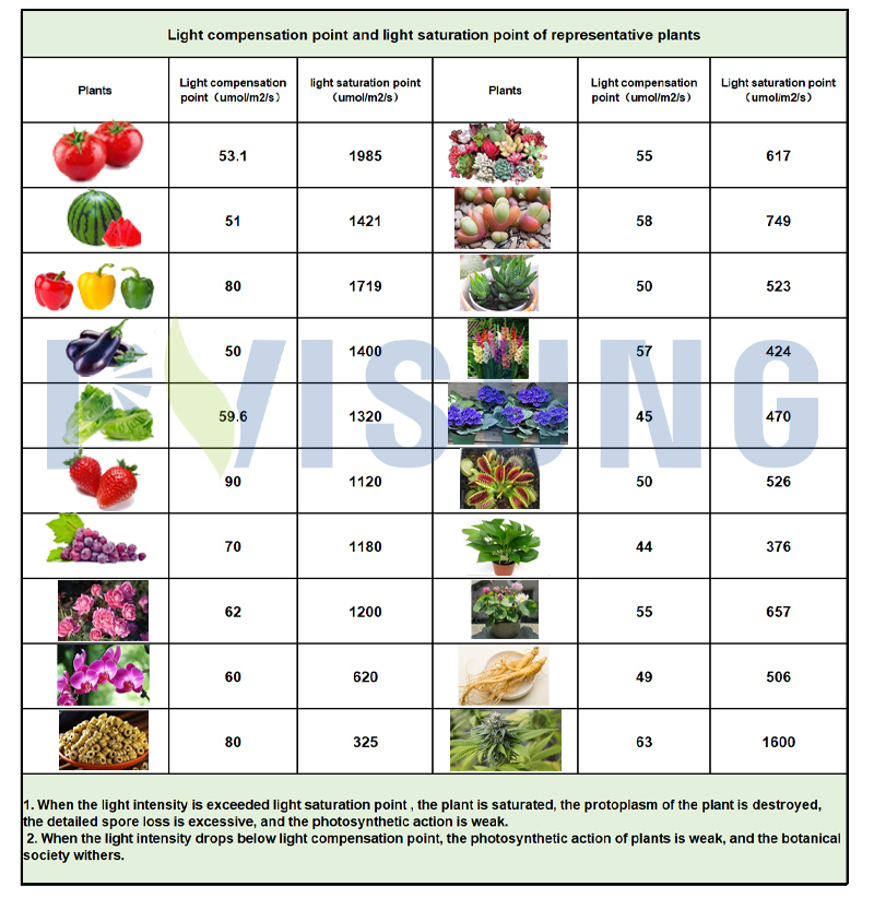 320w Led Grow Light