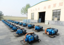 Roots Blower Company