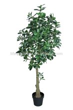 artificial tree 135cm polyscias tree green and white PE leaves