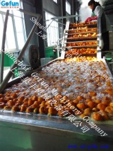 fruit bubble washing machine