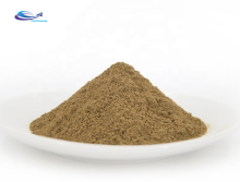 ginkgo biloba brain booster ginkgo biloba leaf