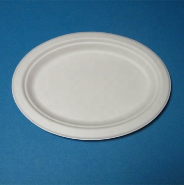Sugarcane Oval Disposable Compostable Plate 10 inch