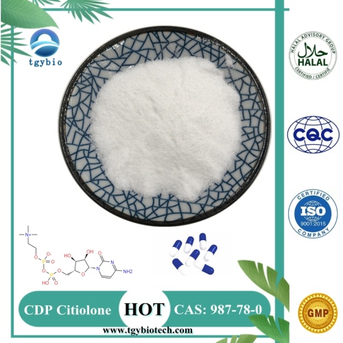 99% Citicolinpulver CDP Cholin CAS 987-78-0