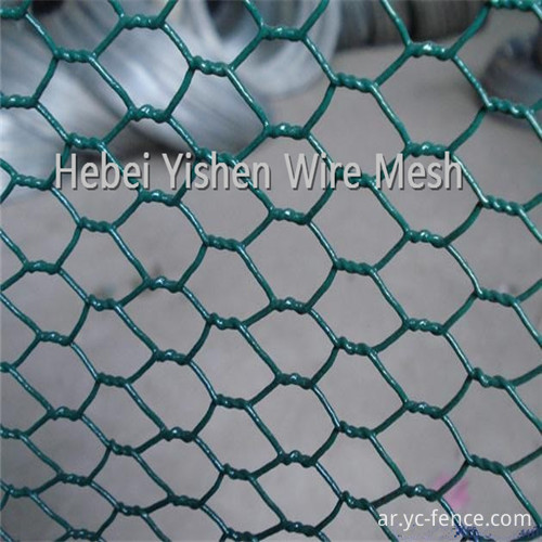 PVC hexagonal wire mesh1_