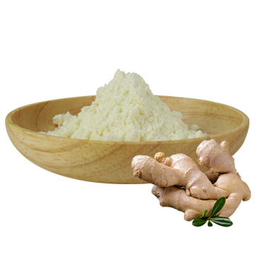 Zingiber officinale Extract Ginger Root Extract Powder