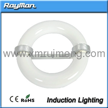 High Luminous Efficacy magnetic induction lighting