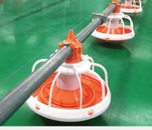 Poultry Male Feeder Pan