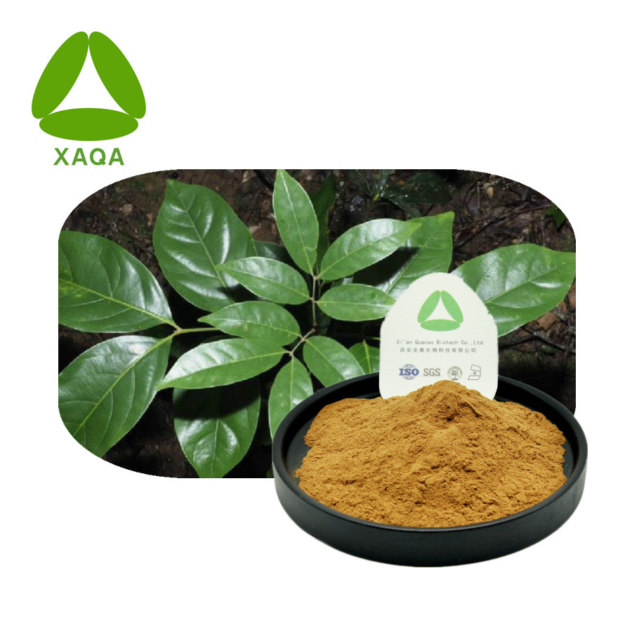 Engelhardtia Leaf Extract Powder Astilbin 10: 1 29838-67-3