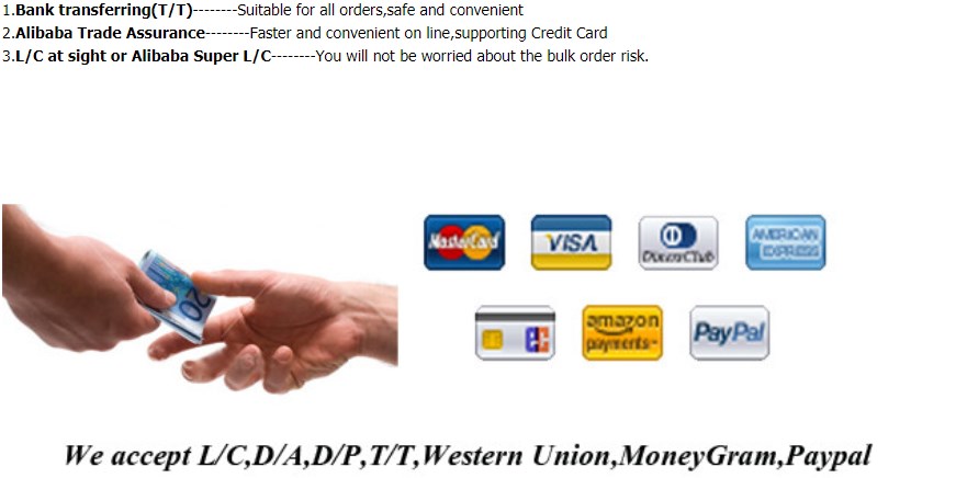 Pagamento Payment