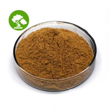 Best Price Natural African Mango Seed Extract powder