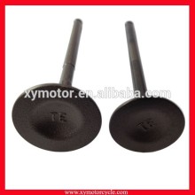 Parts to a Motorcycle Engine Head Valves Intake and Exhaust Valves