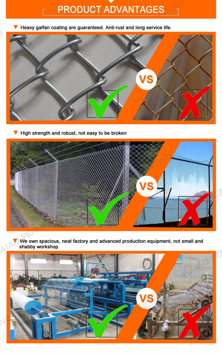 Wire Mesh Fence