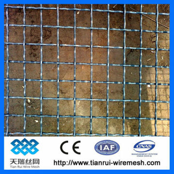 crimped weave mesh & double crimp wire mesh & lock crimp mesh