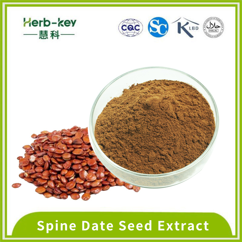 Spine Date Seed Extract 2% Jujuboside