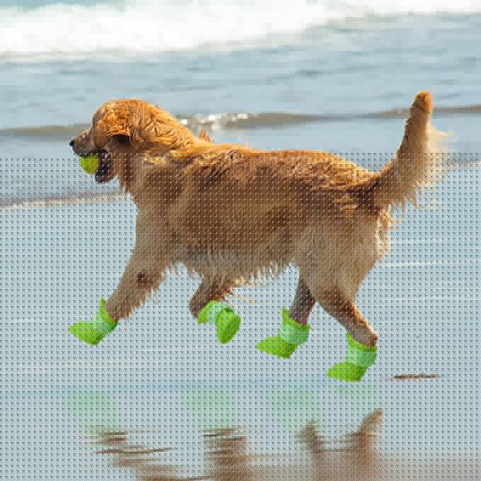 Hunde-Regenstiefel. Dog Rain Boots