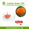 Extracto de flor de caléndula natural Aceite de éster de luteína 10%