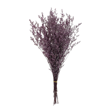 Decorative Dried Limonium Flowers for Decoration
