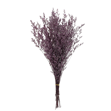 Decorative Dried Limonium Flowers for Decoration
