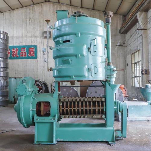 Rapeed Oil Press Peanut Oil Expeller Machinery