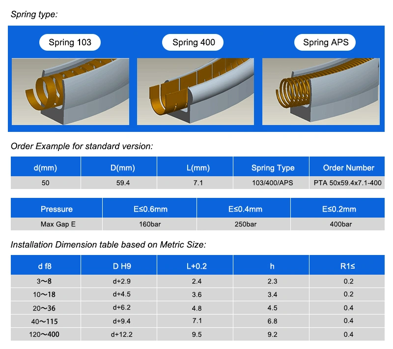 ISO 9001 PTFE Spring Energized Seal for Hydraulic Cylinder