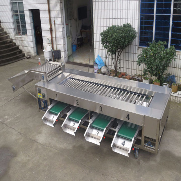 Stainless steel grading equipment fruit and vegetable sorting machine