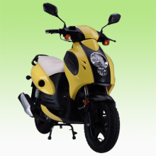 Scooter 800v(hybrid Scooter)