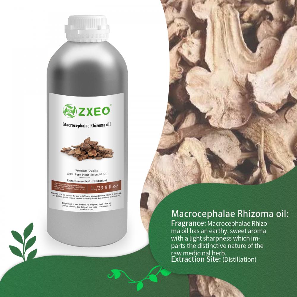 Herbal Cina mengekstraksi minyak rhizoma makrosefalae