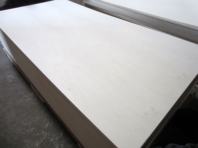 poplar plywood 