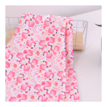 Wholesale Printed Minky Fabric Baby Blankets - Super Soft 100% Polyester Minky Blankets for Babies