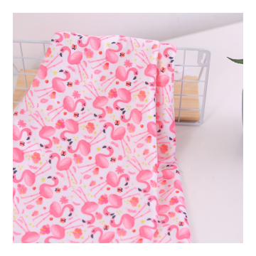 Wholesale Printed Minky Fabric Baby Blankets - Super Soft 100% Polyester Minky Blankets for Babies