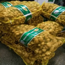 Selected good quality ginger
