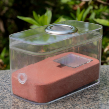 High Moisturizing Gypsum Ant Nest - Ecological Ant House with Workshop