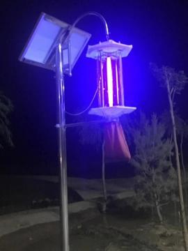 Orchard Farming Solar Insect Exterminator