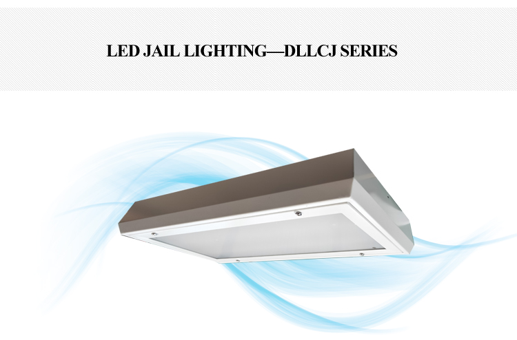 44W surface Ceiling jail Lighting IP65 IK10 prison panel LED Lights for Security