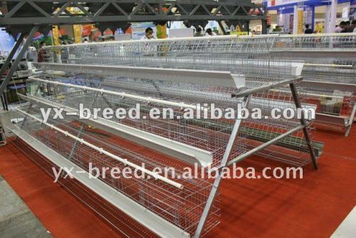 Absolute hot selling chicken layer cage