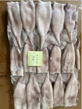 Frozen Dirty Squid Tubes Illex Argentinus