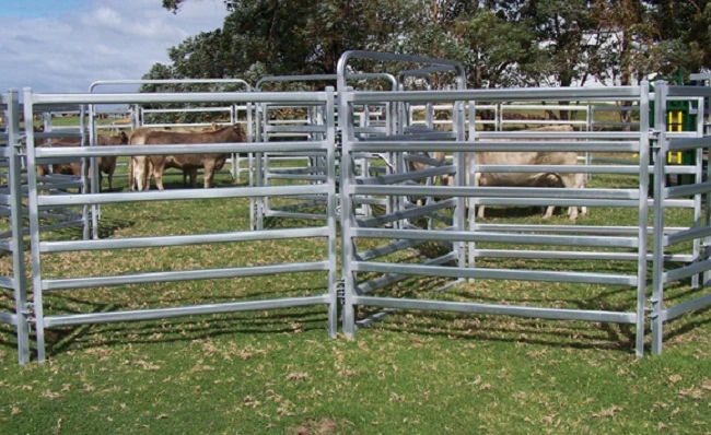 Australia Heavy Duty Galvanized 6 Oval Rail Livestock Panel Horse Panels Factory