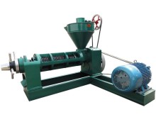 Biodiesel Purpose Jatropha Seeds Oil Press (6YL-165)