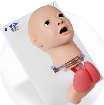 Child Endotracheal Intubation Model