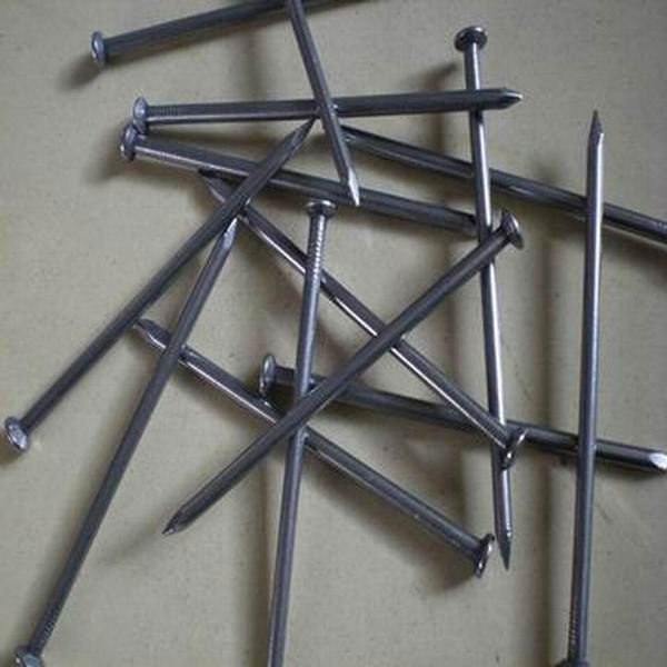 Wire Nails Common Iron Electro Galvanized Polished or Galvanized Steel Building Material Building Construction BWG4-BWG16 CN;HEB