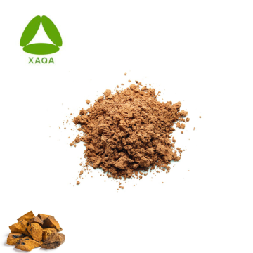 Organic Wild Chaga Mushroom Extract Powder