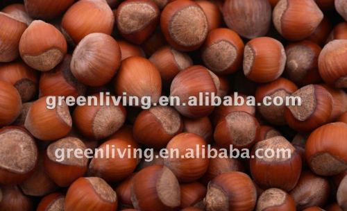 fresh raw chestnut nuts manufacturer in china