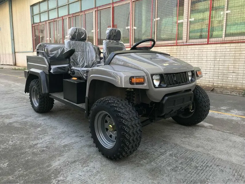 Amazing Impressive Design 48V off Road UTV